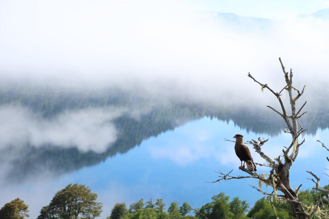 Hermoso Eco Lodge San Martín de los Andes Εξωτερικό φωτογραφία