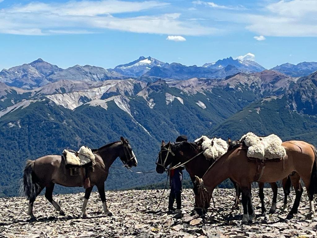 Hermoso Eco Lodge San Martín de los Andes Εξωτερικό φωτογραφία